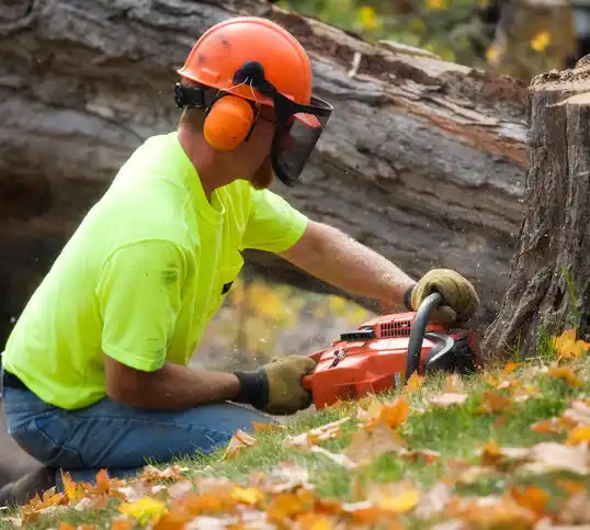 tree services High Rolls